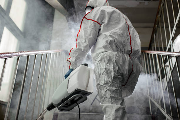 Mold Remediation for Rental Properties